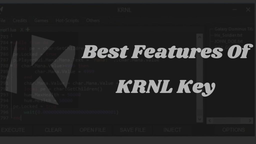Best Features Of KRNL Key